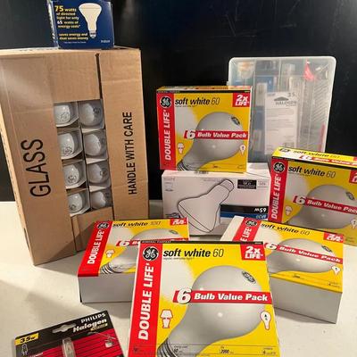 Lightbulb Mystery Lot 