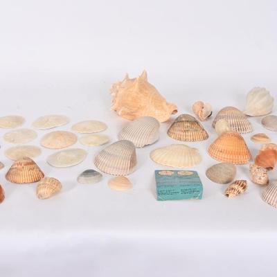 Sale Photo Thumbnail #148