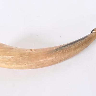 Sale Photo Thumbnail #256