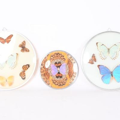 Sale Photo Thumbnail #263