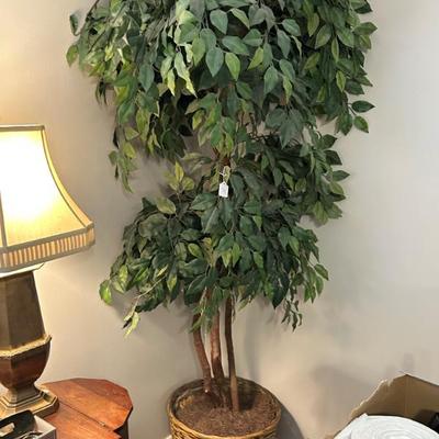 Sale Photo Thumbnail #327