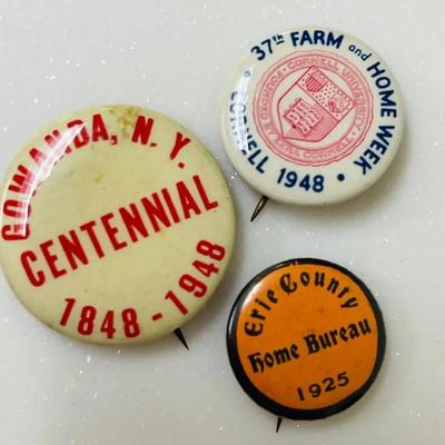 Vintage Commemorative Fair Pin Collection 