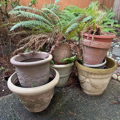 Seven Large Garden Pots Of Various Plastics And Terracotta Materials