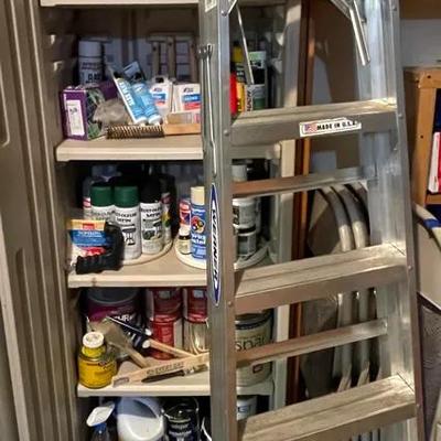 Chemical Lot Of Paint & More With 6’ Ladder