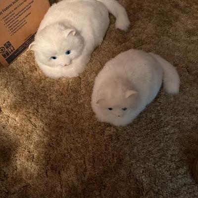 Sale Photo Thumbnail #946