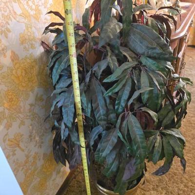 Sale Photo Thumbnail #156