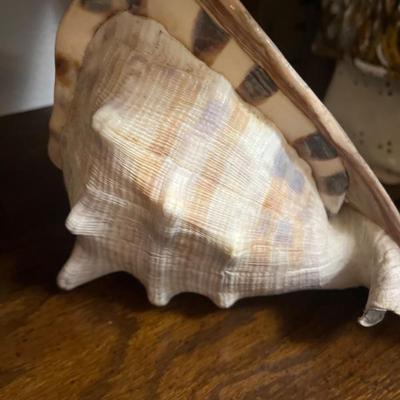 Sale Photo Thumbnail #857