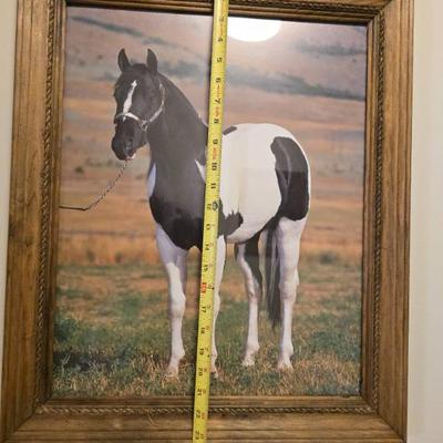 Sale Photo Thumbnail #359