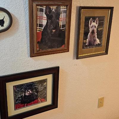 Sale Photo Thumbnail #460