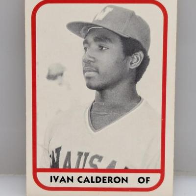 Sale Photo Thumbnail #489