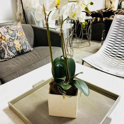 Sale Photo Thumbnail #85