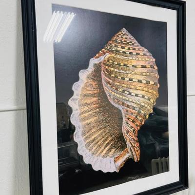 Sale Photo Thumbnail #305