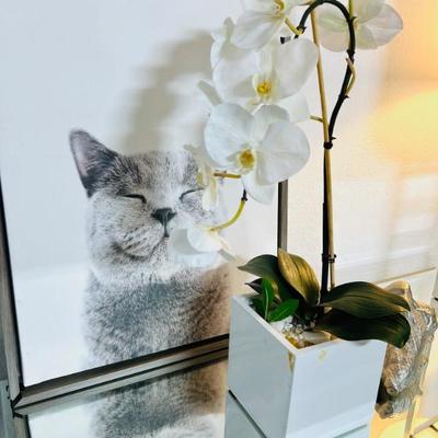 Sale Photo Thumbnail #110