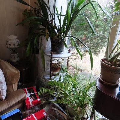 Sale Photo Thumbnail #132