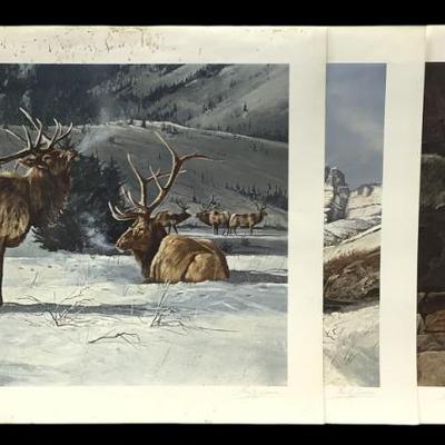 Sale Photo Thumbnail #813