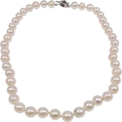 Sale Photo Thumbnail #261