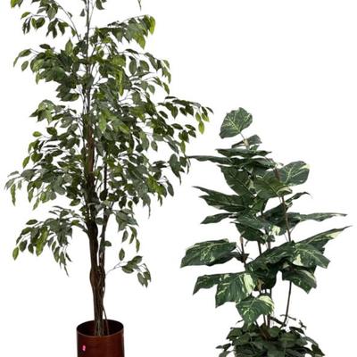 Sale Photo Thumbnail #578