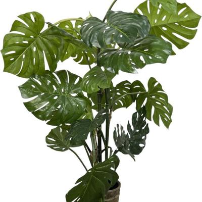 Sale Photo Thumbnail #594