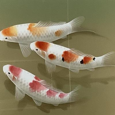 Sale Photo Thumbnail #762