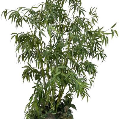 Sale Photo Thumbnail #473