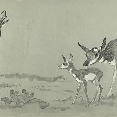 Sale Photo Thumbnail #764