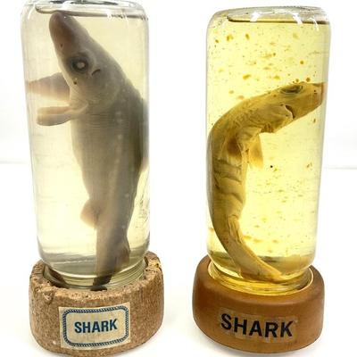 Sale Photo Thumbnail #626