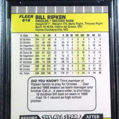 Sale Photo Thumbnail #228