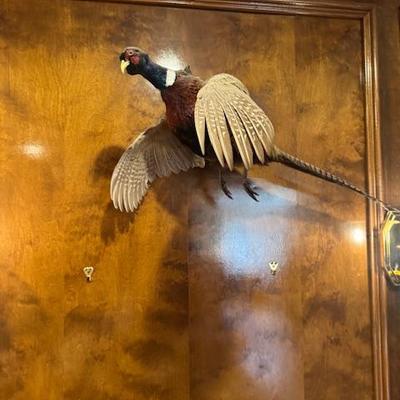 Sale Photo Thumbnail #11: BEAUTIFUL ART