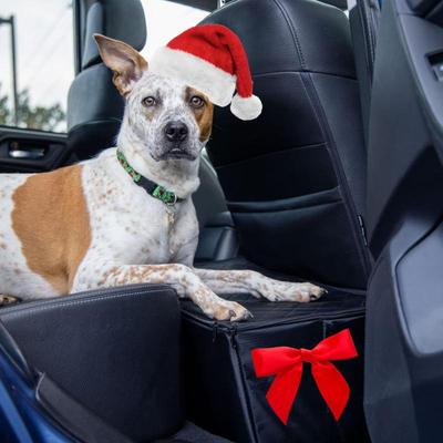 Sale Photo Thumbnail #110