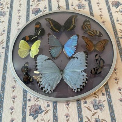 Sale Photo Thumbnail #182