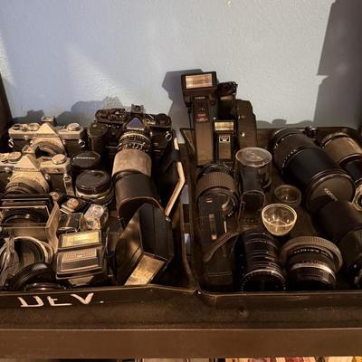 Sale Photo Thumbnail #335