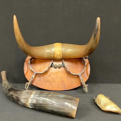 Steer Horn Decor