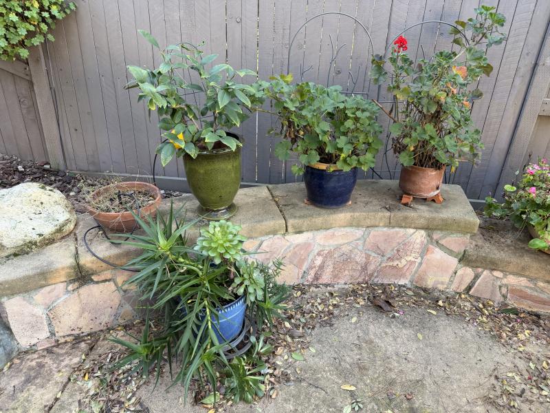 Sale Photo Thumbnail #12