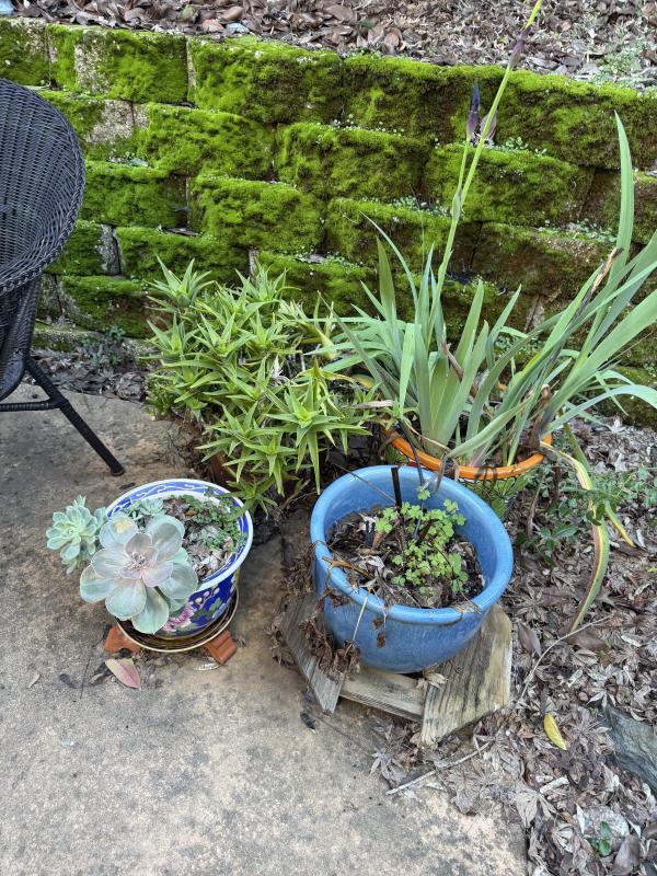 Sale Photo Thumbnail #9