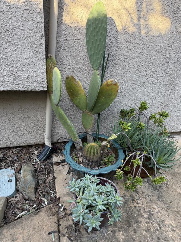 Sale Photo Thumbnail #8