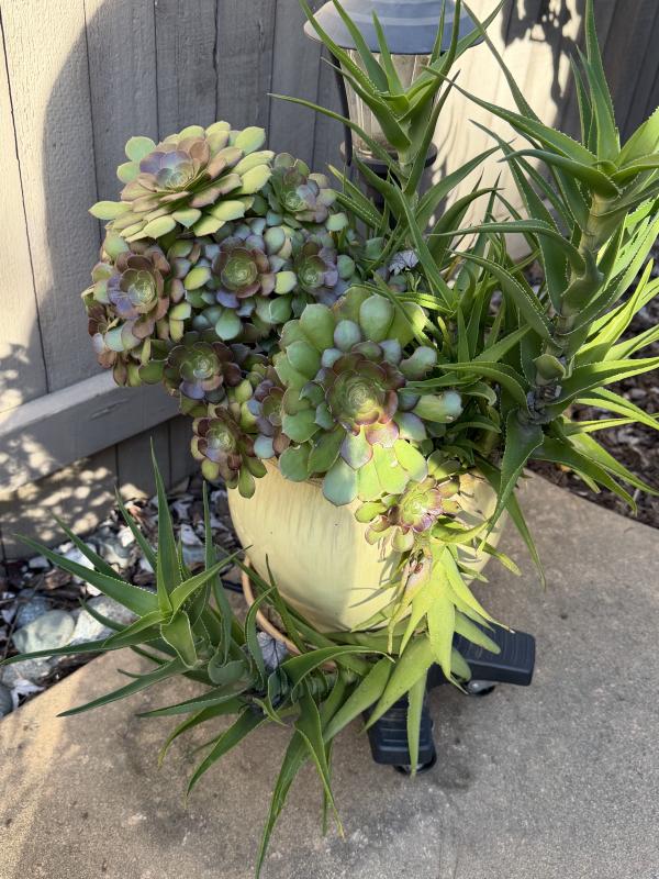 Sale Photo Thumbnail #15