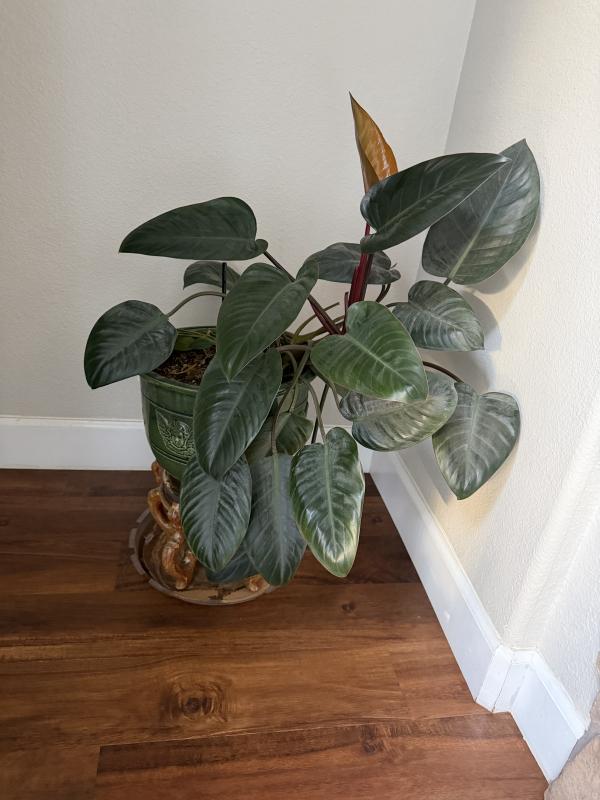 Sale Photo Thumbnail #6