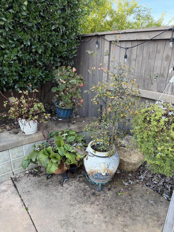 Sale Photo Thumbnail #14