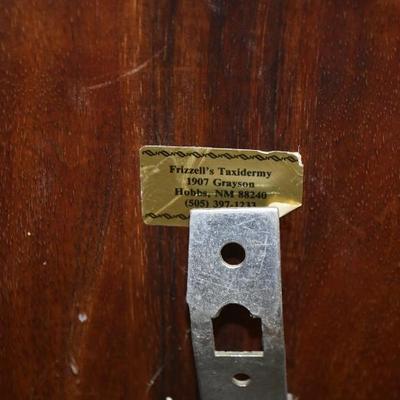 Sale Photo Thumbnail #14