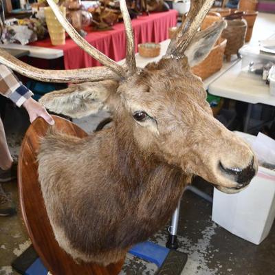 Sale Photo Thumbnail #10