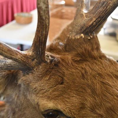 Sale Photo Thumbnail #11