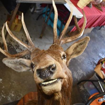 Sale Photo Thumbnail #7