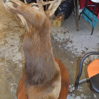 Sale Photo Thumbnail #2