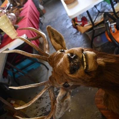 Sale Photo Thumbnail #6