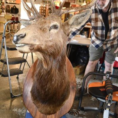 Sale Photo Thumbnail #9