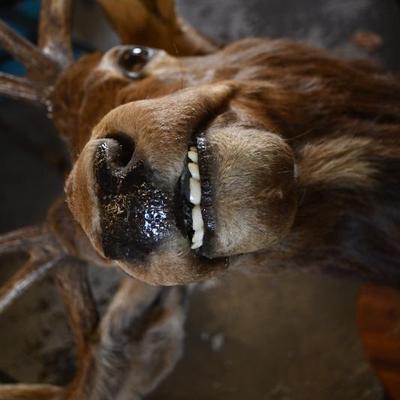 Sale Photo Thumbnail #3