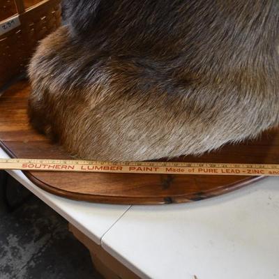 Sale Photo Thumbnail #16