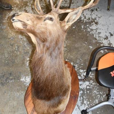 Sale Photo Thumbnail #8