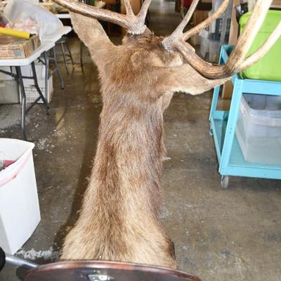 Sale Photo Thumbnail #12