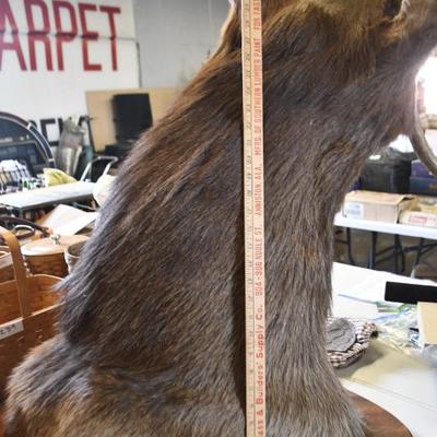 Sale Photo Thumbnail #15